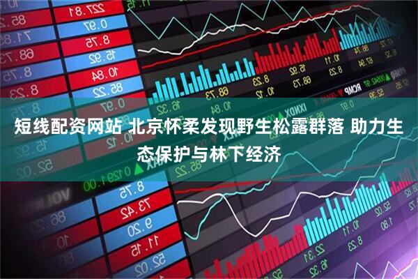 短线配资网站 北京怀柔发现野生松露群落 助力生态保护与林下经济